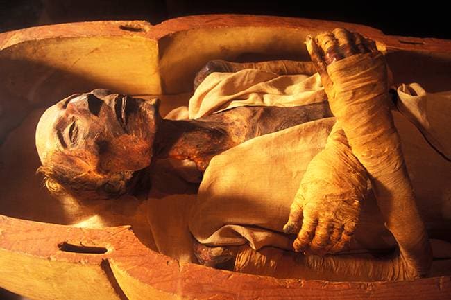 egyptian mummies king tut